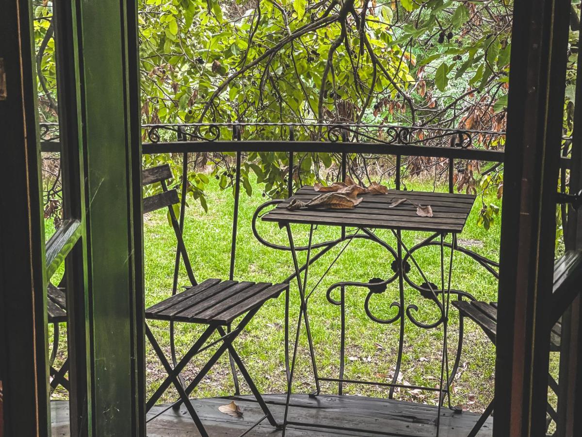 Wood Mood Apartman Tiganjica Stajicevo Exterior photo