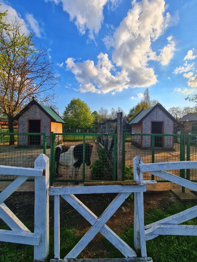 Wood Mood Apartman Tiganjica Stajicevo Exterior photo
